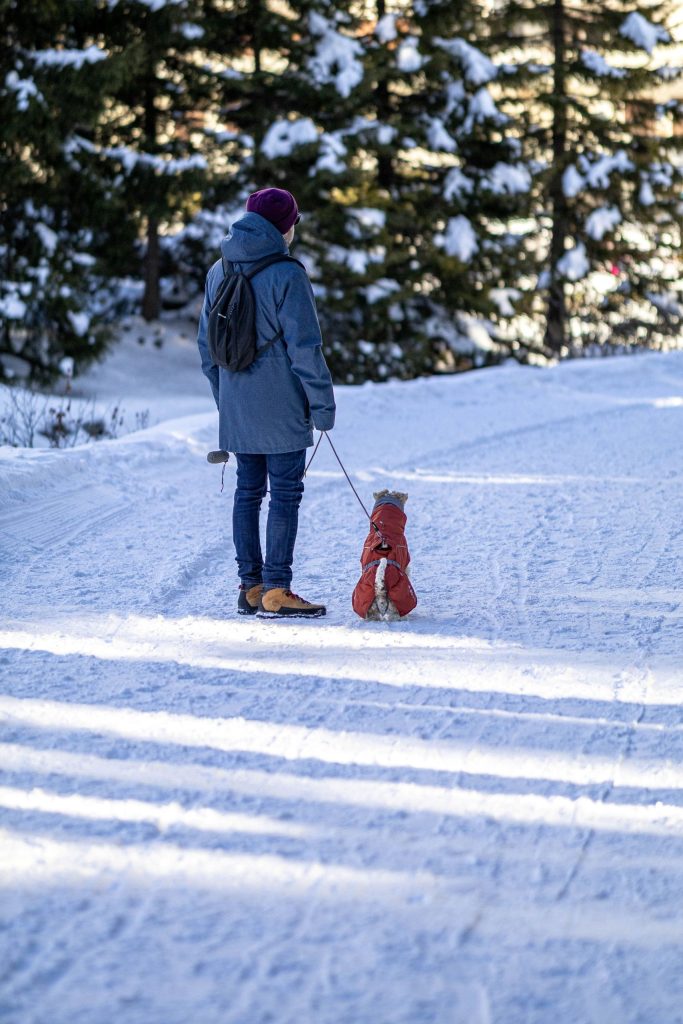 A man is standing with his dog in the snowy mountains in winter in Switzerland