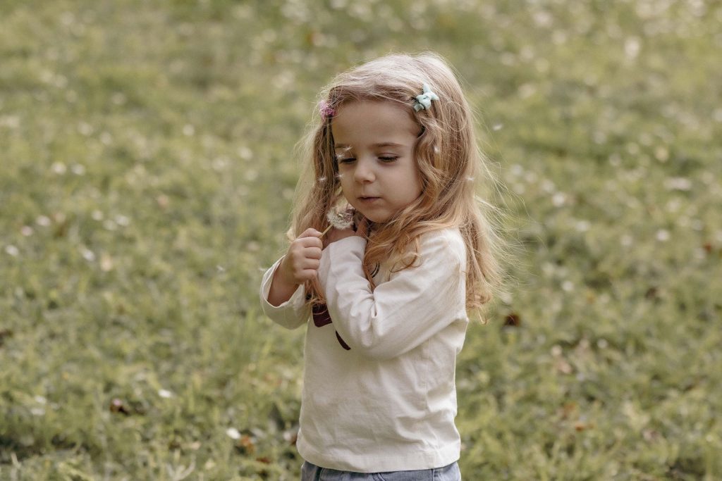 A little girl is blowing on a dandelion in Villa dei Cedri Park in Bellinzona