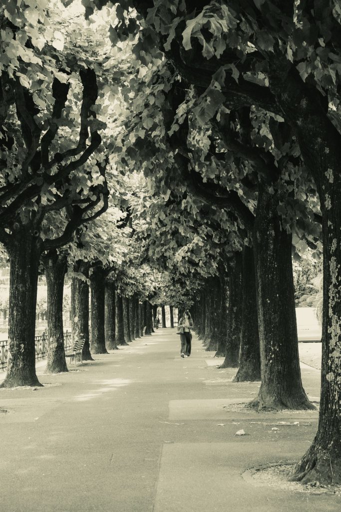 A woman is walking along a tree-lined avenue in Lugano