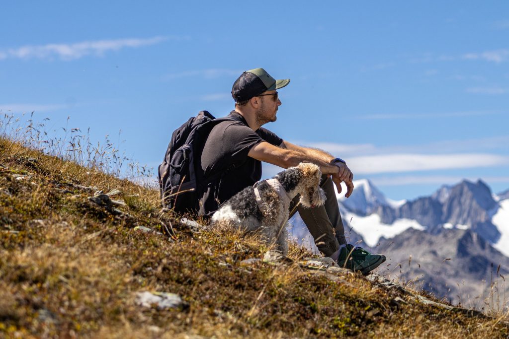 A man is sitting in the grass with his dog in the Swiss Alps in the summer